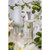 Provence Sante Eau de Toilette Spray - Luxury Long-Lasting Fragrance - Vetiver Scent - Elegant Perfume Gift - Made in France - 3.5 Oz