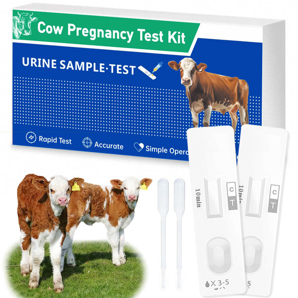 Non-Invasive Bovine Pregnancy Test Kit (2 Pack) - Painless Urine Test for Cattle, Stress-Free Early Detection, Fast Results in 5-10 Mins, Safe & Hygienic for Dairy & Beef Farms