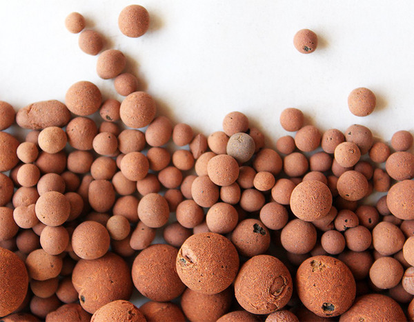 Hydro Clay Pebbles (Leca) Orchid/Hydroponic Grow Media - 10 lbs. (More Than 10 Liters) by PowerGrow Systems