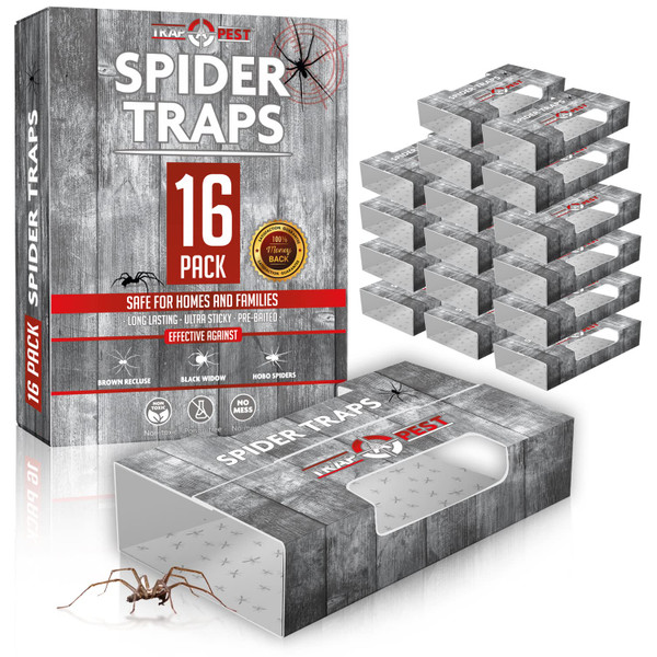 Trap a Pest Indoor Sticky Spider Traps - Glue Traps - 16 Pack