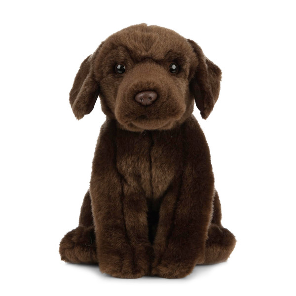 Living Nature Chocolate Labrador Soft Toy – 20cm Brown Realistic Cuddly Dog Plush – Stuffed Animal Gift for Kids & Dog Lovers