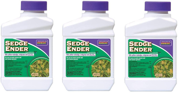 Sedge Ender Concentrate3