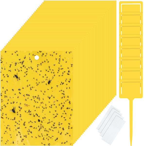 Qualirey 400 Pcs 6 x 8 in Yellow Sticky Traps for Gnats Plant Insect Trap