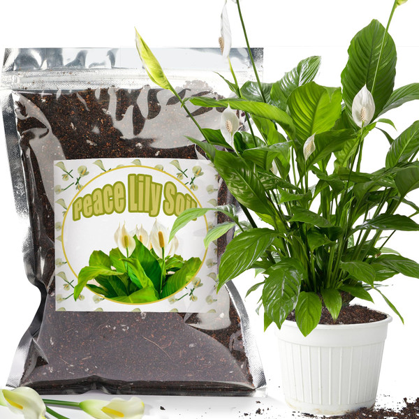Doter Organic Peace Lily Soil Mix 2qt, Indoor Plants Potting Mix for Planting, Growing, or Repotting Peace Lily Plants, Grow Healthy houseplants Indoors