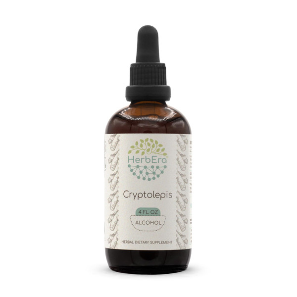 HerbEra Cryptolepis Alcohol Herbal Extract Tincture, Concentrated Wildcrafted Cryptolepis (Cryptolepis Sanguinolenta) Dried Root (4 Fl Oz)