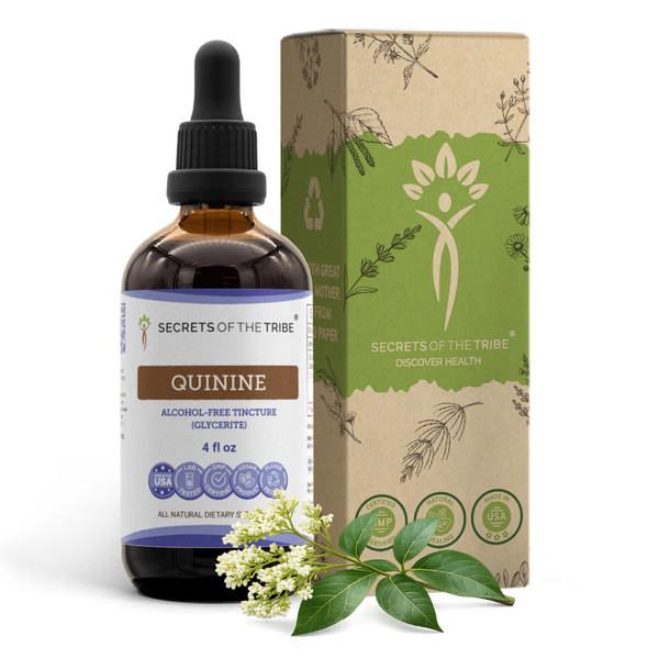 Secrets of the Tribe Quinine Alcohol-Free Tincture (Glycerite) 680 mg Wildcrafted Quinine (Cinchona officinalis) Dried Bark (4 Fl Oz) Leg Cramp Support Supplement