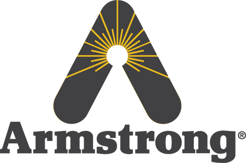 Armstrong International D501498