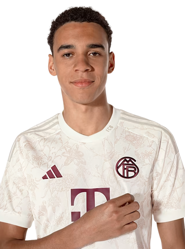 Bayern Munich 23/24 Stadium Men's Third Shirt