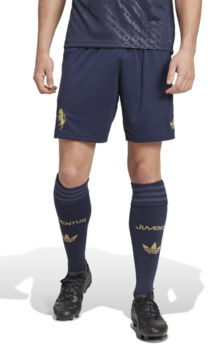 Juventus 24/25 Stadium Men's Third Shirt
