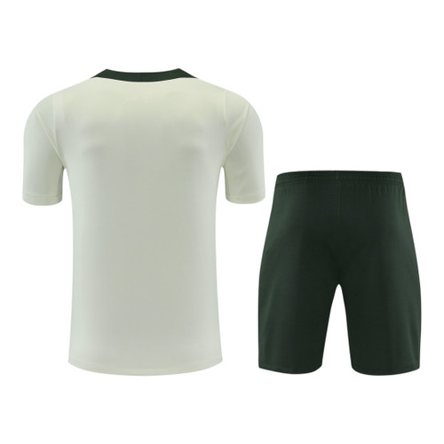 Chelsea 25/26 Men's Light Olive Traning Shirt