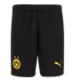 Borussia Dortmund 23/24 Stadium Men's Third Shirt