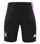 Germany 2024 Men's Purple Training Shirt