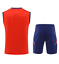 Spain 2024 Men's Red Training Tank Top