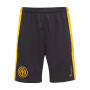 Inter Milan 24/25 Authentic Men's Third Shirt