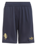Juventus 24/25 Kid's Third Shirt and Shorts