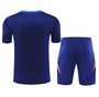 Juventus 24/25 Men's Navy Training Shirt