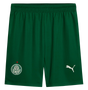 Palmeiras 25/26 Stadium Men's Away Shirt