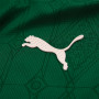 Palmeiras 25/26 Authentic Men's Home Shirt