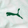 Palmeiras 25/26 Authentic Men's Away Shirt