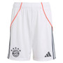 LUIS DÍAZ #14 Bayern Munich 25/26 Authentic Men's Away Shirt