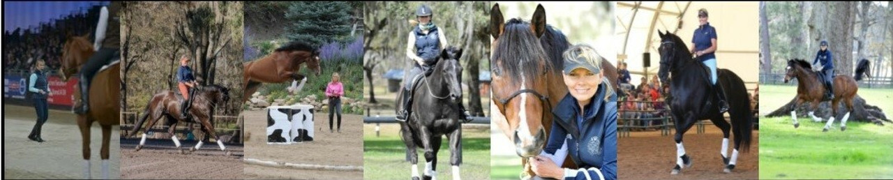 Happy Horse Happy Life Program Happy Horse Happy Life Program