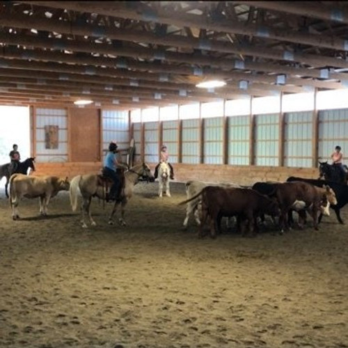 Two Day Stockmanship Clinic - Sept. 14-15