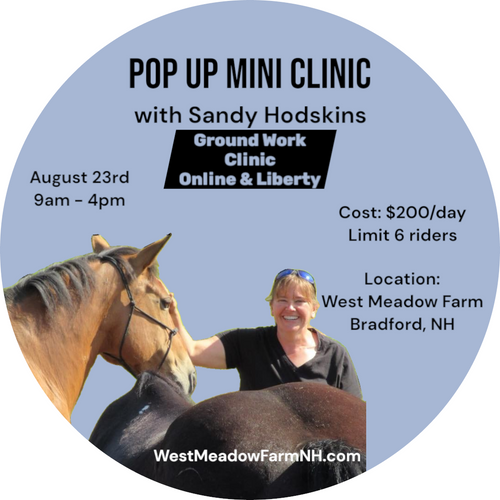 Pop up Mini Clinic - Groundwork - August 23