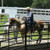 JOE WOLTER - 2 Day Clinic * Horsemanship & Trail - July 10-11