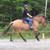 Advancing Riding/HHHL -  May 11-12