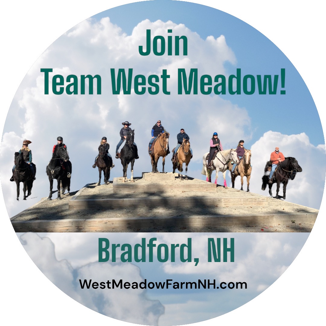 Team West Meadow