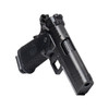 Nighthawk Custom TRS Commander DLC IOS (9MM)