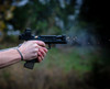 Zermätt Arms Waltz 9 — on the range