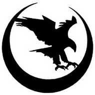 Nighthawk Custom