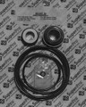 Pentair Pentair Whisperflo Intelliflo Go-Kit32 Gasket Kit