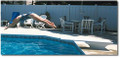 SR Smith SR Smith Fibre-Dive Diving Board