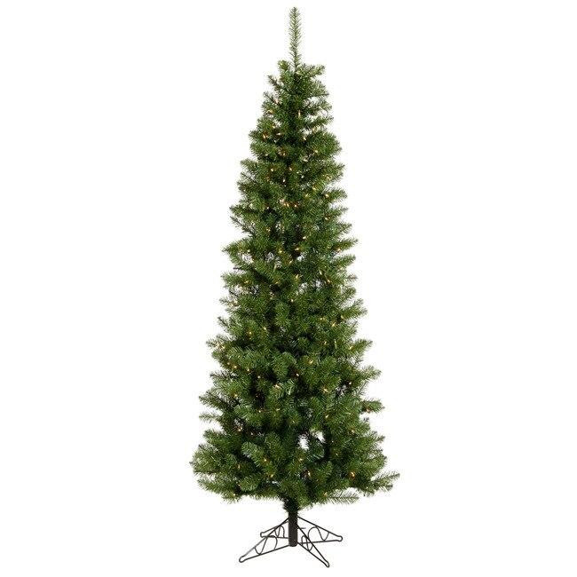 Vickerman Salem Pencil Pine 7.5' with 300 Warm White LED Lights on Pool