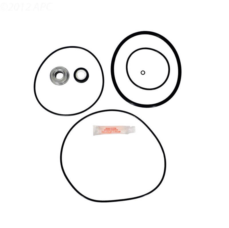 Pentair Whisperflo GoKit32 Gasket Kit