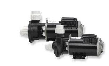 Gecko Alliance FloMaster FMCP 1.5 HP 2 Speed Center Discharge Spa Pump 0615000-1010 Gecko Alliance FloMaster FMCP 1.5 HP 2 Speed Center Discharge Spa Pump 0615000-1010