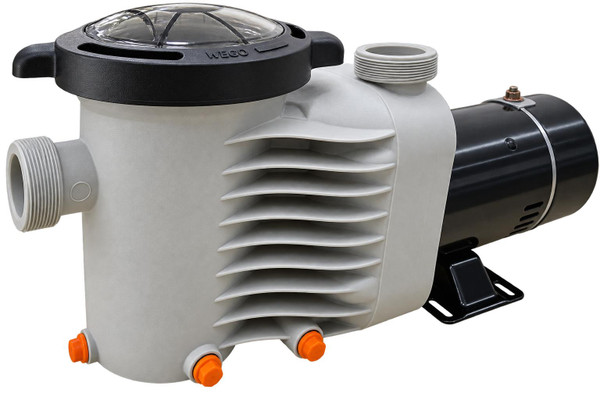  Blue Torrent Maxi-Pump Dual Speed Aboveground Pool Pump 