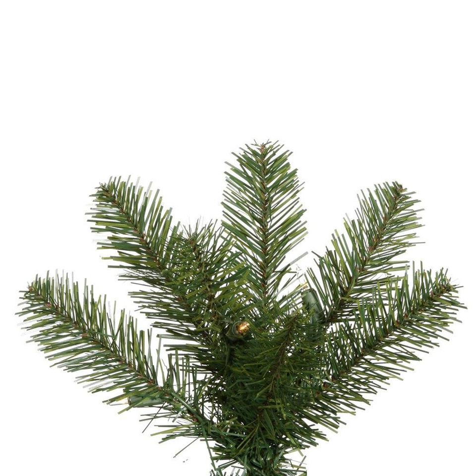Vickerman Company Vickerman Salem Pencil Pine 7.5 with 300 Warm White LED Lights