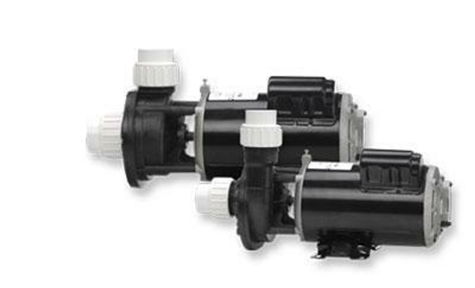 Gecko Alliance FloMaster FMCP 1.5 HP 2 Speed Center Discharge Spa Pump 0615000-1010