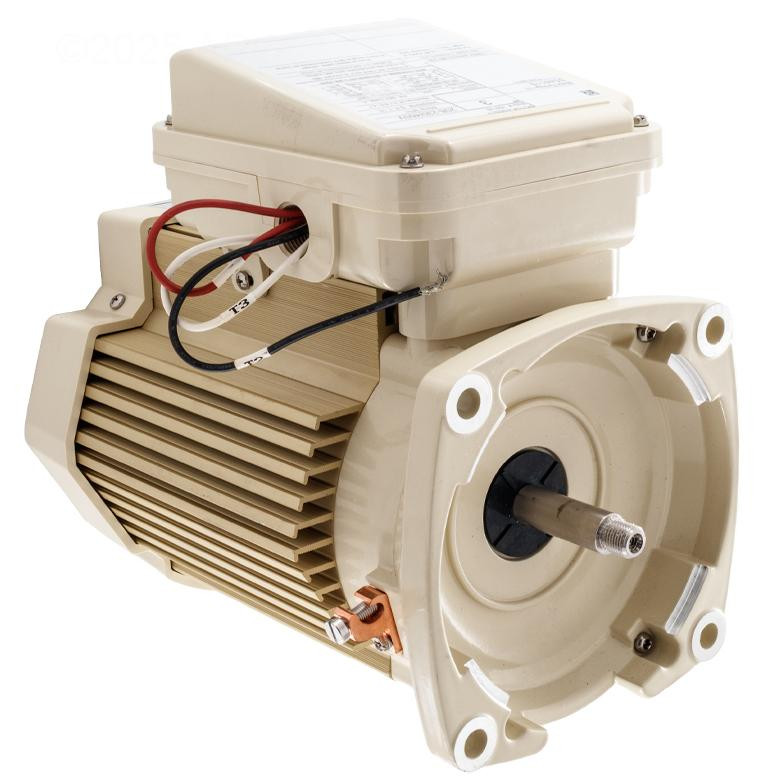  Pentair 3HP 3 Phase motor model number 354811S 