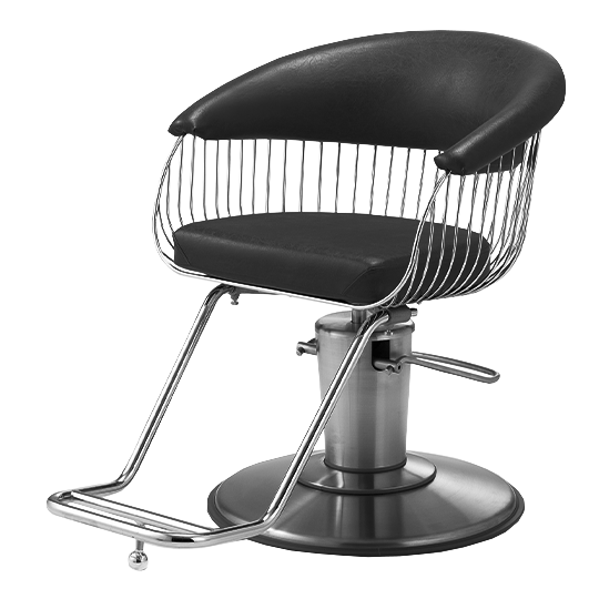 Takara Belmont Luxury Salon Styling Chair, HARP