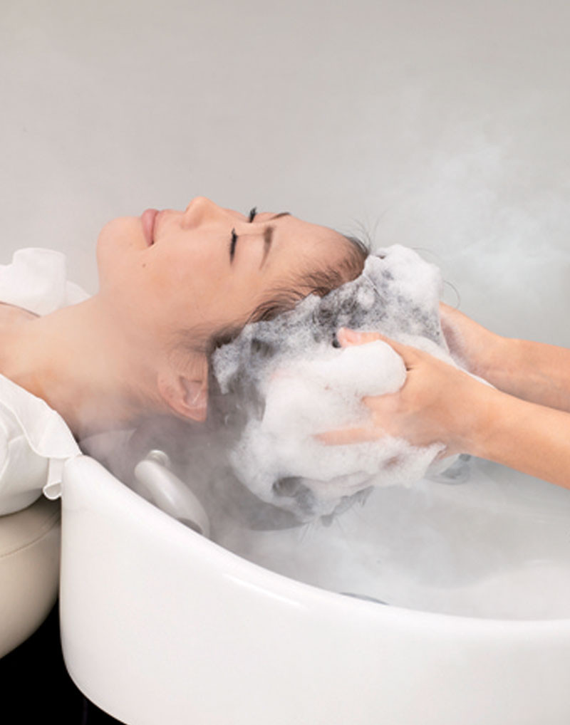 Takara Belmont SPA MIST II Head Spa Hair Treatment Processor