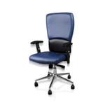 ANS Add-On, EURO Chair, Blue Sky, TWO Alfalfa Nail Supply, Inc.