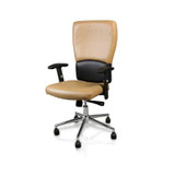 ANS Add-On, EURO Chair, Camel, TWO Alfalfa Nail Supply, Inc.