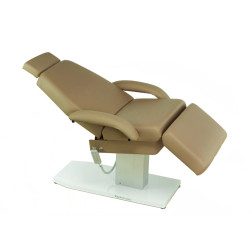 Touch America Spa Treatment Chair, Powered Lift, EMPRESS, Camel Touch America Spa Treatment Chair, Powered Lift, EMPRESS, Camel