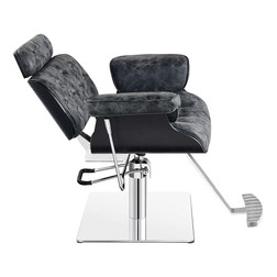 DIR All-Purpose Salon Chair, PLANET recline DIR All-Purpose Salon Chair, PLANET recline