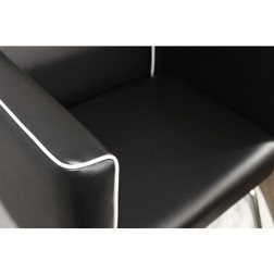 Takara Belmont Styling Chair, LUSSO, Armrest Close-Up 