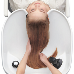 Takara Belmont RS ELITE Luxury Shampoo Station overhead view of sink